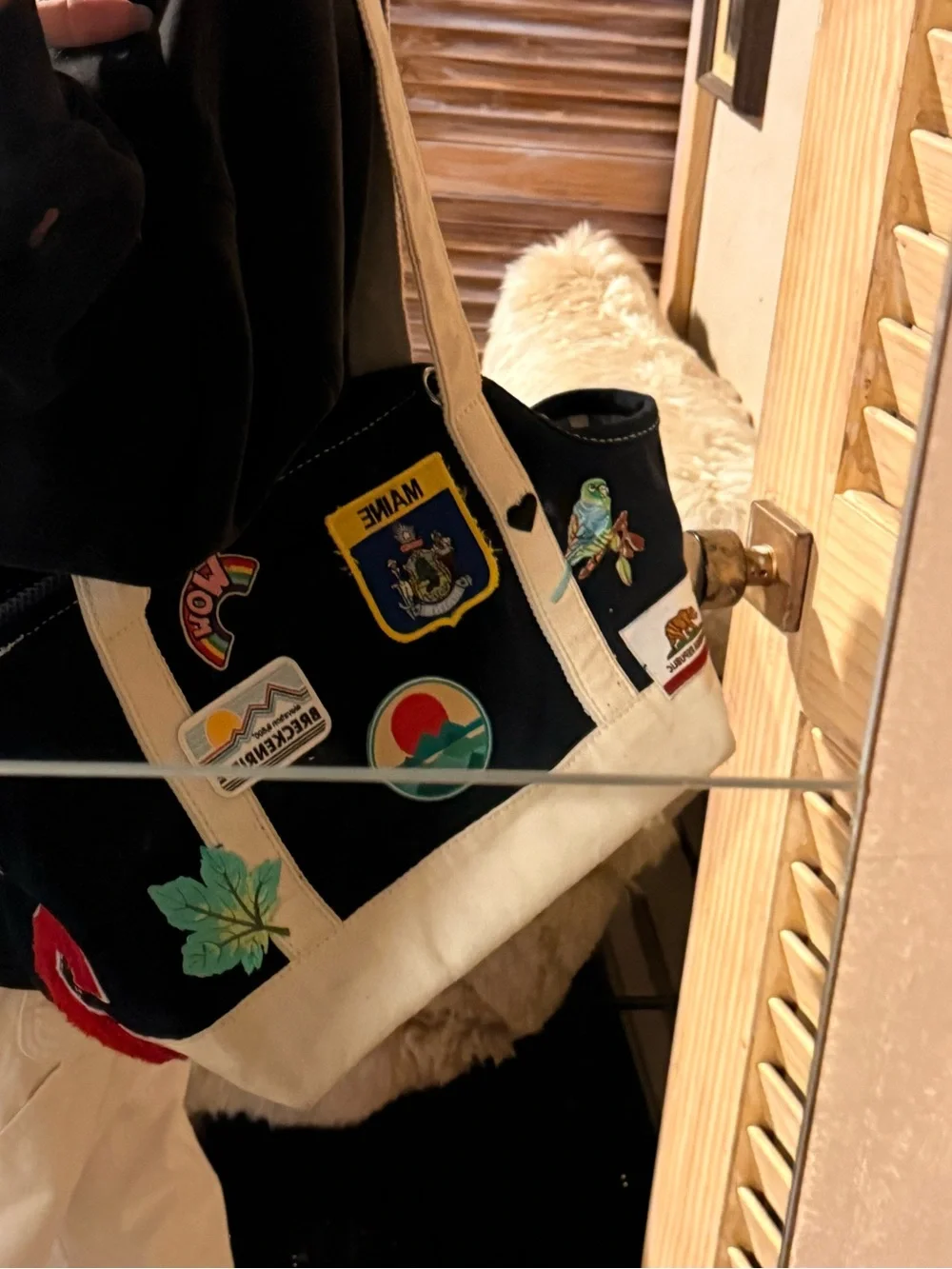 CUSTOM CANVAS PERSONALIZED PET CARRIER